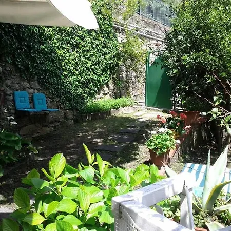 Un Nido Di Pace E Di Verde Vicino Al Mare